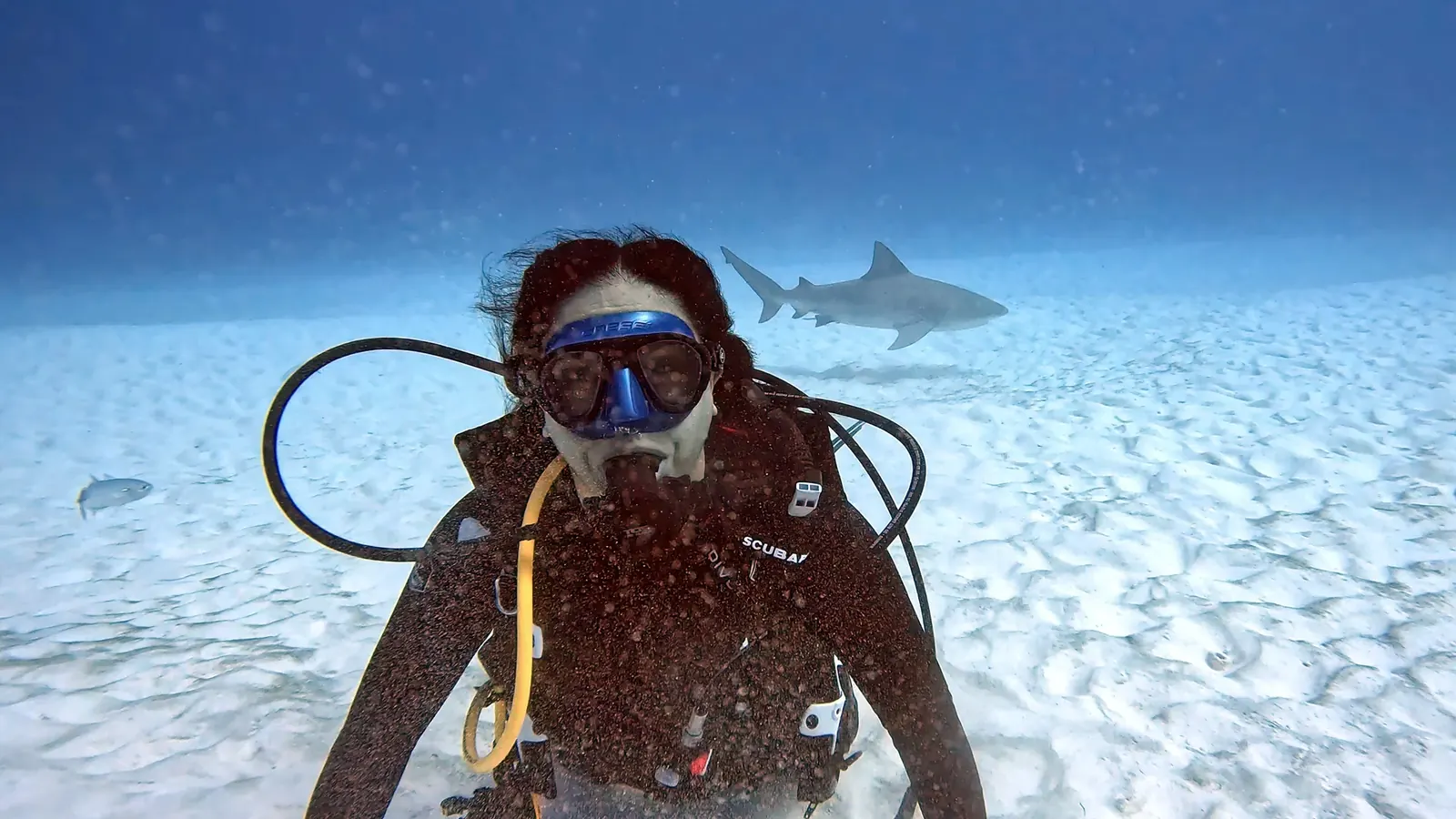 Scuba diving at The Ultimate Trilogy