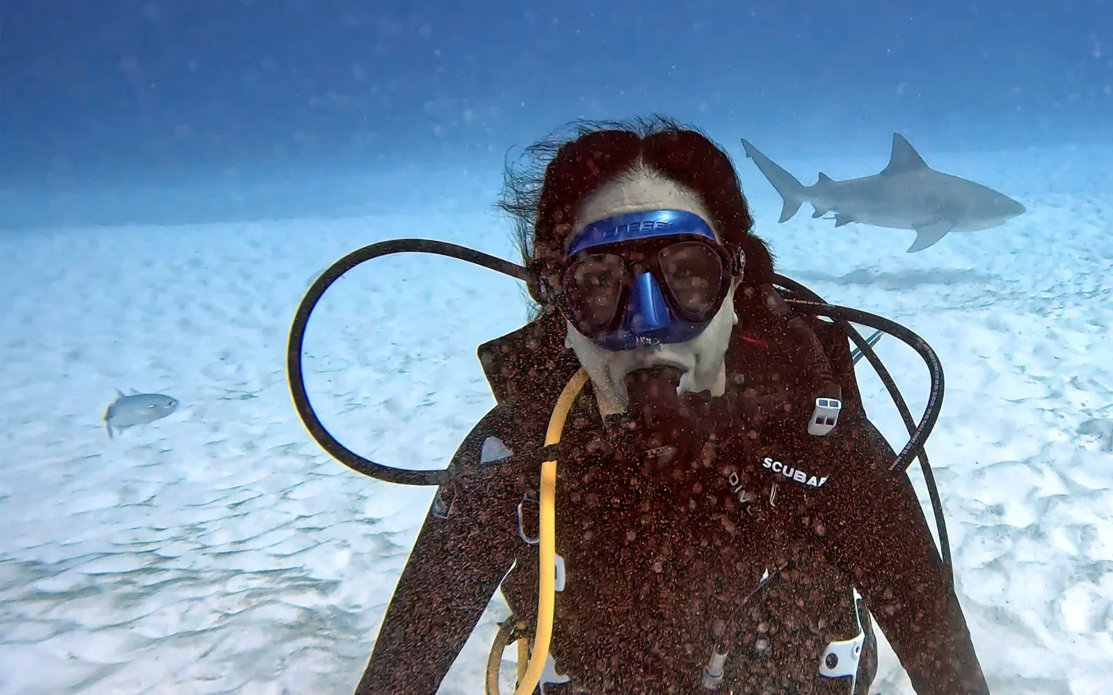 Diver with a bull shark cruising behind on the sandy bottom off Playa del Carmen
