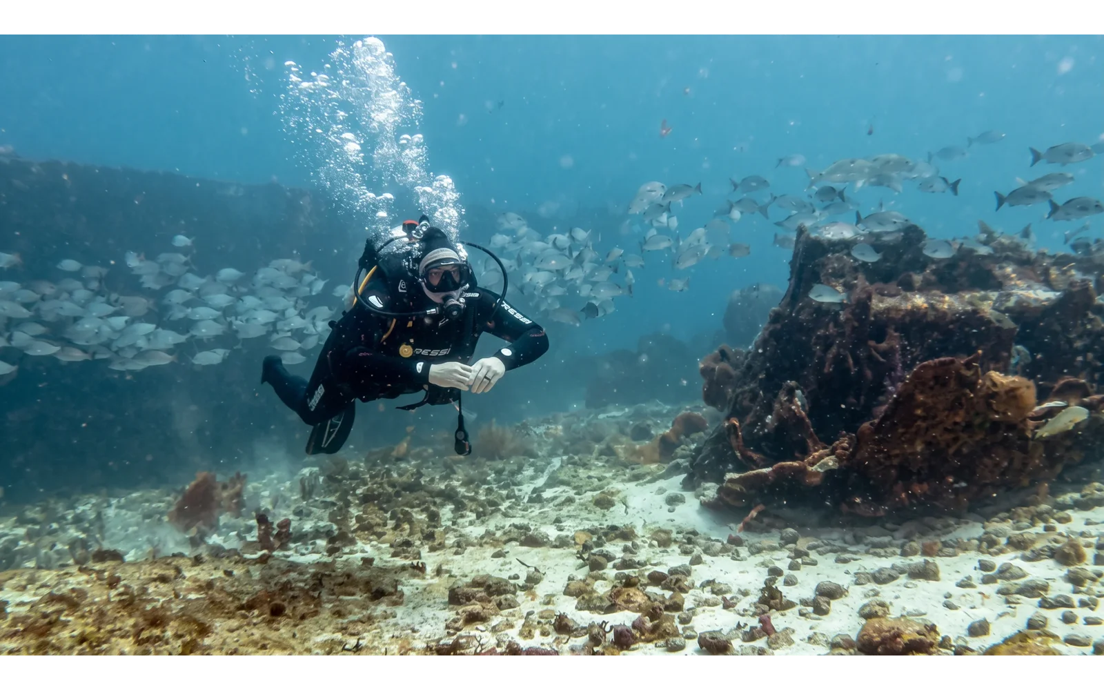 Diver exploring the C-58 minesweeper wreck off Cancun