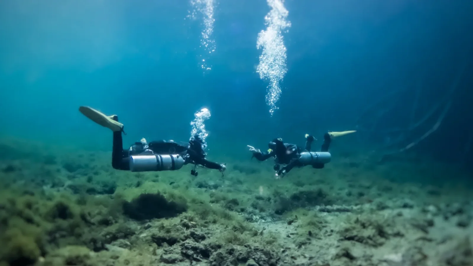 Two divers gliding over the grassy floor of Cenote Car Wash