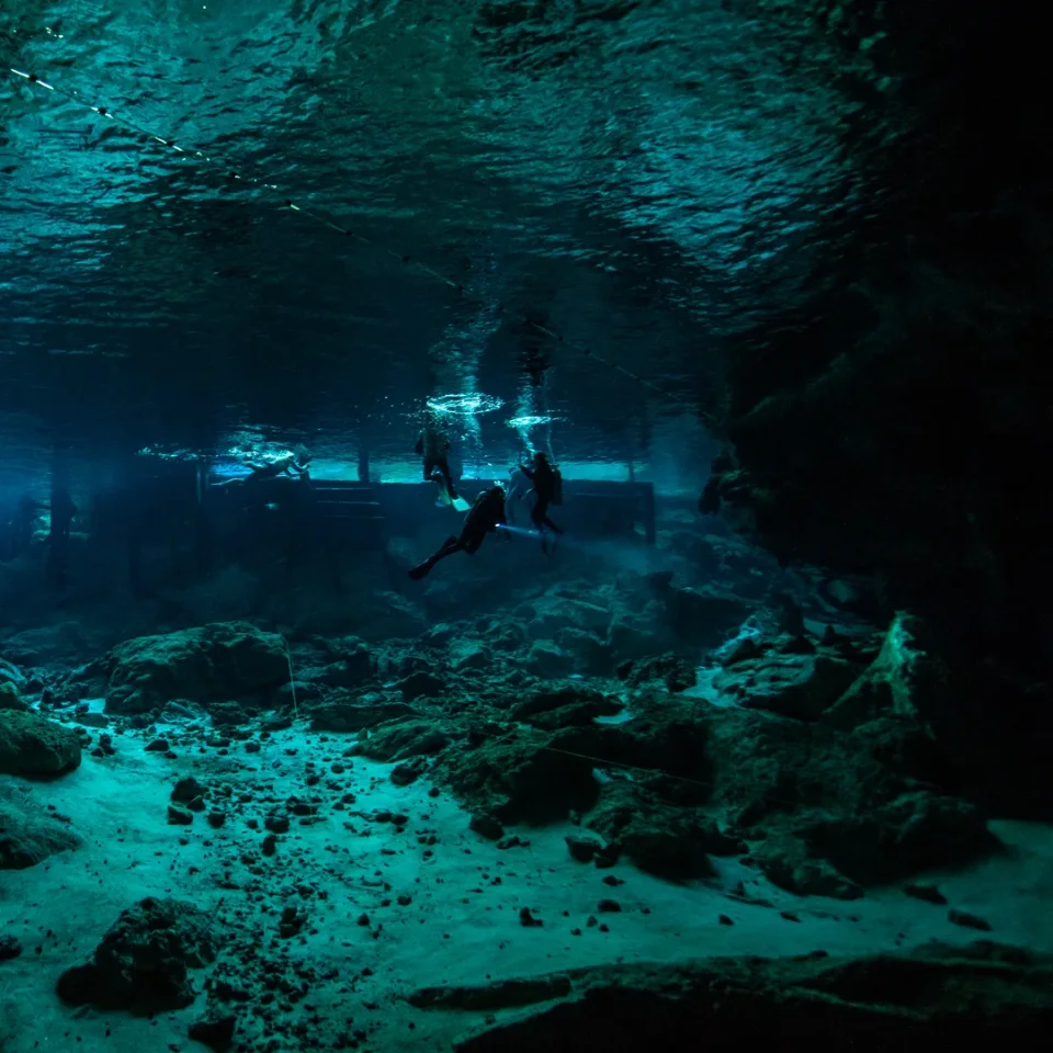 Divers with torches under the cavern ceiling at Cenote Dos Ojos
