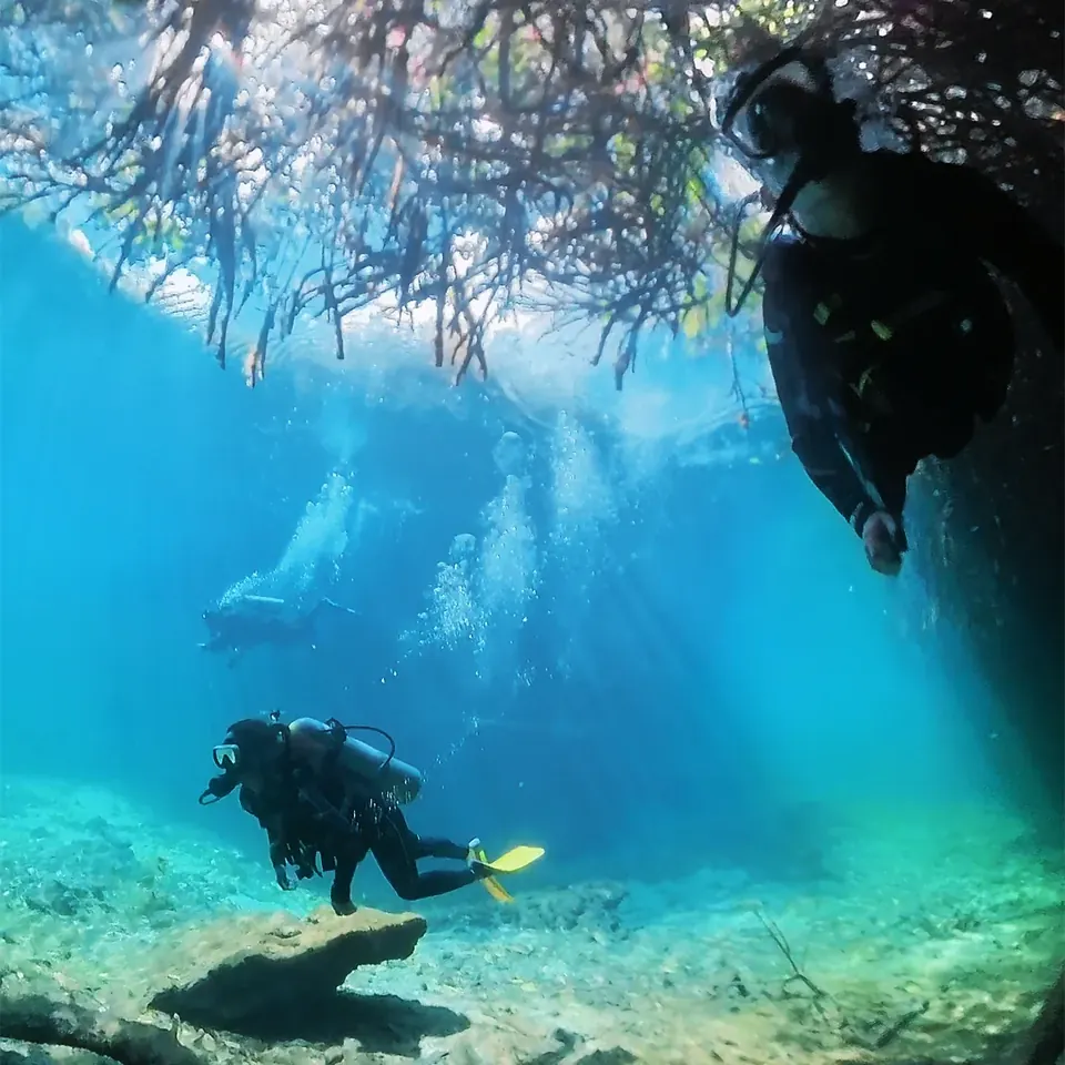 Two divers under a canopy of roots with sunbeams in Cenote Car Wash