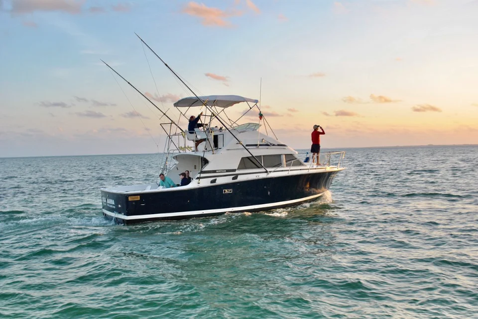 Dive boat heading out at sunset