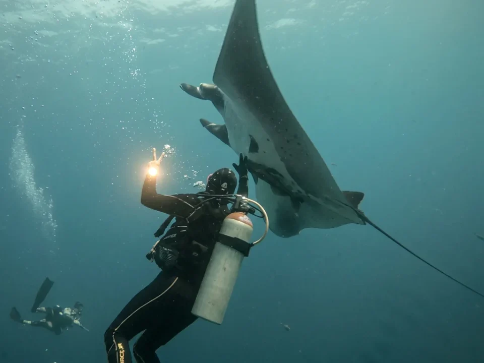 Diver giving the peace sign beside a giant manta ray in Cancun