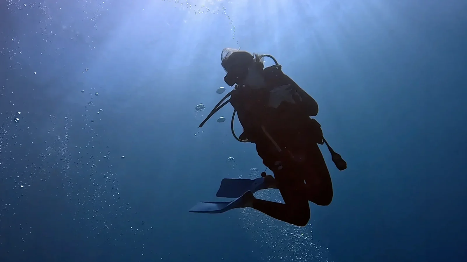 Diver silhouetted against sunbeams, bubbles rising to the surface