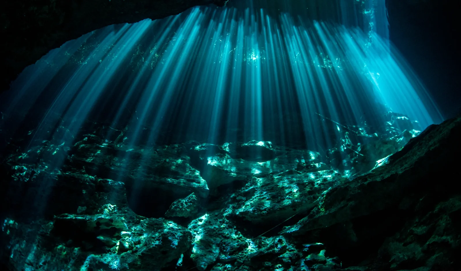 Sunbeams piercing the cavern ceiling of a cenote near Puerto Aventuras