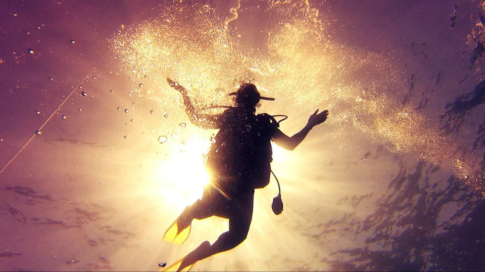 Diver silhouetted against golden light and bubbles
