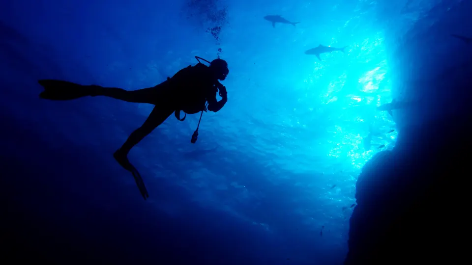 Liveaboard divers entering the water at Revillagigedo
