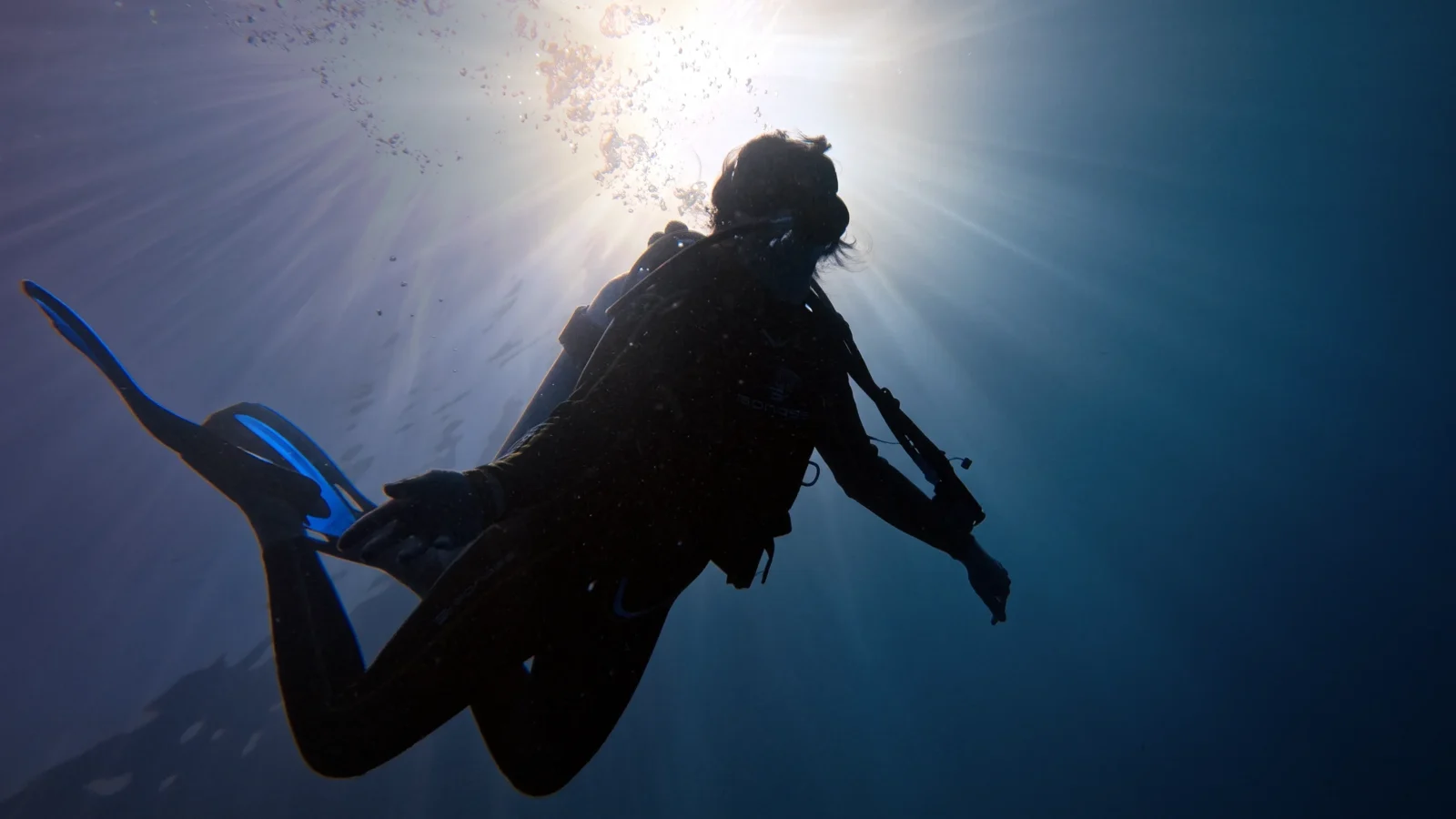 Diver silhouetted against sunbeams rising to the surface