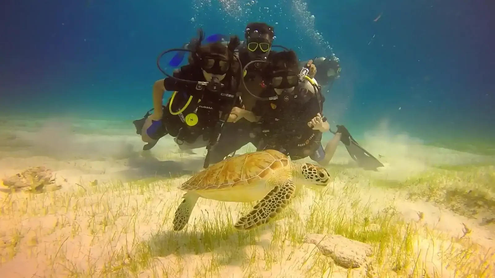 Drift diving the Palancar wall in Cozumel