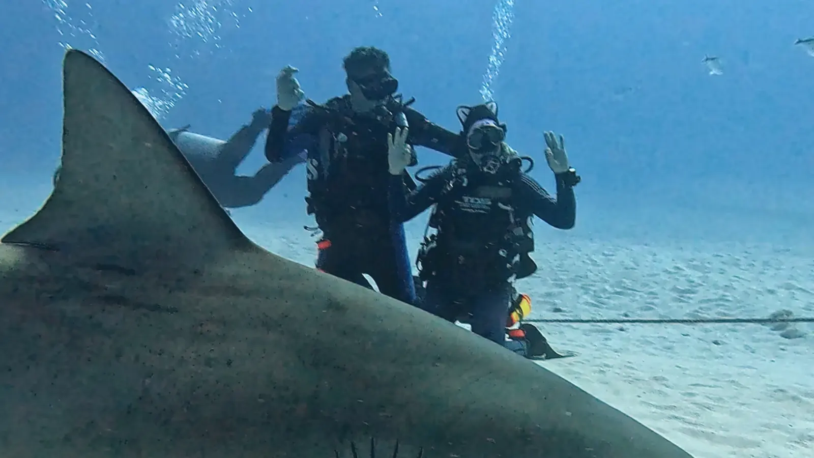 Scuba diving at Riviera Maya