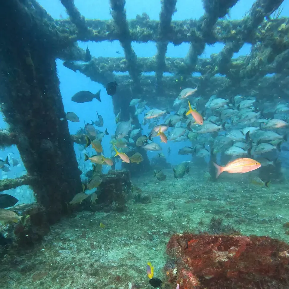 Diver exploring the minesweeper wreck off Cancun